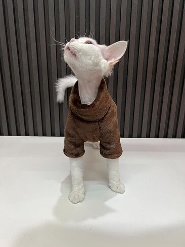Sphynx Hairless Cat Clothes Solid Soft Faux Fur Sweater Outfit Cute Pullover Autumn Winter Fashion Turtleneck Sphynx Clothes Kitten Cat Apparel (M(4.4-5.5lbs), Candy Green) in Saudi Arabia