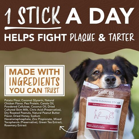 TropiClean Enticers Honey Peanut Butter Dog Chews | Dental Dog Treats for Large Dogs, Medium Dogs & Small Dogs 12 Count in Saudi Arabia