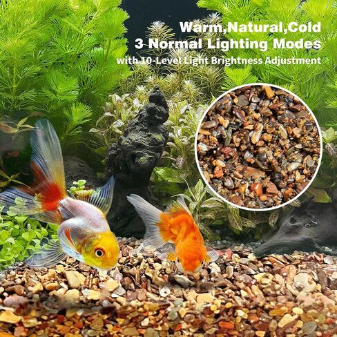 WDEFUN 6.6 Pounds Aquarium Gravel, Fish Tank Decorative Sand, Natural Cactus Bonsai Gravel, Terrarium Filling DIY Gardening Indoor & Outdoor Garden Bottle (M-Gravel-6.6lb) in Kuwait
