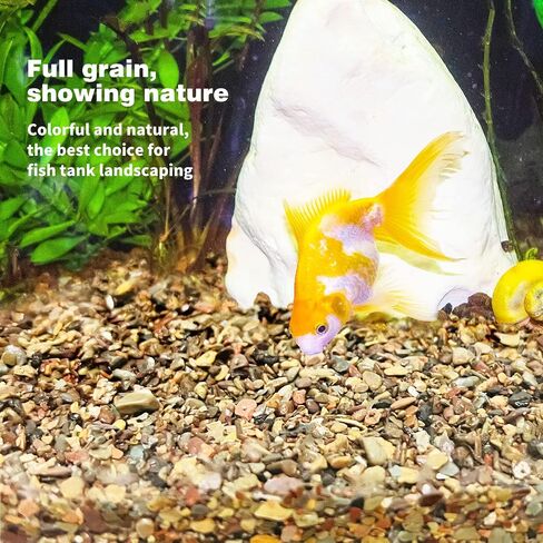 WDEFUN 6.6 Pounds Aquarium Gravel, Fish Tank Decorative Sand, Natural Cactus Bonsai Gravel, Terrarium Filling DIY Gardening Indoor & Outdoor Garden Bottle (M-Gravel-6.6lb) in Kuwait