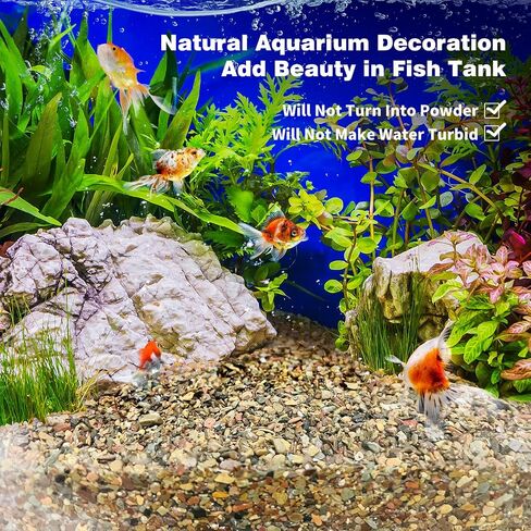 WDEFUN 6.6 Pounds Aquarium Gravel, Fish Tank Decorative Sand, Natural Cactus Bonsai Gravel, Terrarium Filling DIY Gardening Indoor & Outdoor Garden Bottle (M-Gravel-6.6lb) in Kuwait