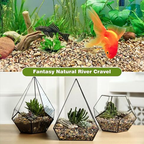 WDEFUN 6.6 Pounds Aquarium Gravel, Fish Tank Decorative Sand, Natural Cactus Bonsai Gravel, Terrarium Filling DIY Gardening Indoor & Outdoor Garden Bottle (M-Gravel-6.6lb) in Kuwait