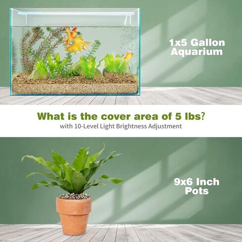 WDEFUN 6.6 Pounds Aquarium Gravel, Fish Tank Decorative Sand, Natural Cactus Bonsai Gravel, Terrarium Filling DIY Gardening Indoor & Outdoor Garden Bottle (M-Gravel-6.6lb) in Kuwait