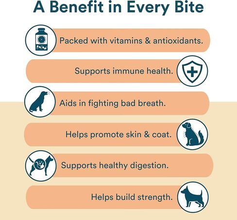 Benefit Biscuits, All Natural Dog Treats, Certified Vegan, Non GMO, Wheat Free, Healthy Dog Biscuits, Made in USA (Blueberry, Regular Bag (7oz)) in Kuwait