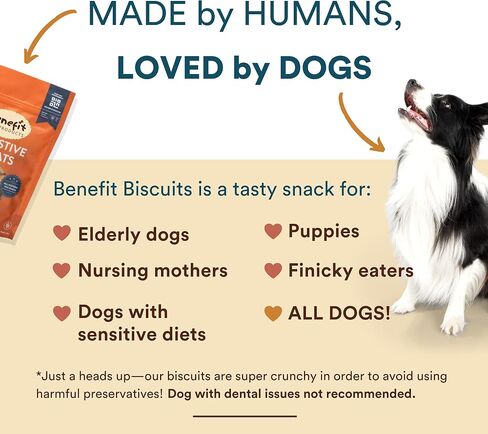 Benefit Biscuits, All Natural Dog Treats, Certified Vegan, Non GMO, Wheat Free, Healthy Dog Biscuits, Made in USA (Blueberry, Regular Bag (7oz)) in Kuwait