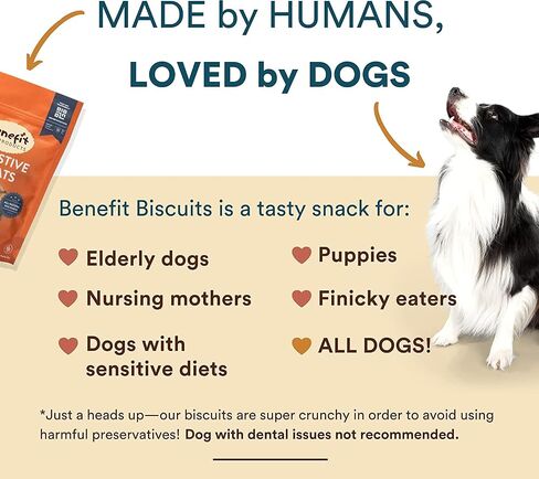 Benefit Biscuits, All Natural Dog Treats, Certified Vegan, Non GMO, Wheat Free, Healthy Dog Biscuits, Made in USA (Blueberry, Regular Bag (7oz)) in Kuwait