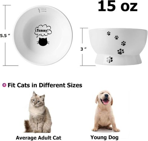 Y YHY Cat Bowl, 15 Ounce Cat Water Bowl, Raised Ceramic Cat Food Bowl, Elevated Cat Dog Dish No Spill, Pet Bowls for Cats or Small Dogs, Anti Vomiting, Measurable, White in Saudi Arabia