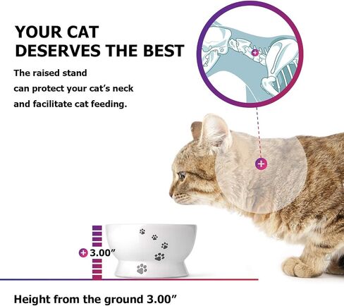 Y YHY Cat Bowl, 15 Ounce Cat Water Bowl, Raised Ceramic Cat Food Bowl, Elevated Cat Dog Dish No Spill, Pet Bowls for Cats or Small Dogs, Anti Vomiting, Measurable, White in Saudi Arabia