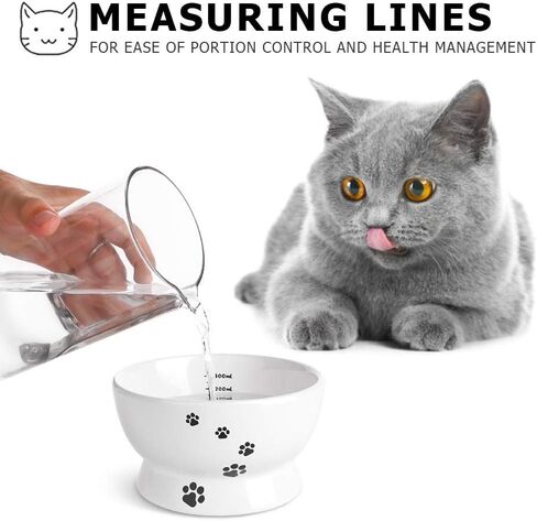 Y YHY Cat Bowl, 15 Ounce Cat Water Bowl, Raised Ceramic Cat Food Bowl, Elevated Cat Dog Dish No Spill, Pet Bowls for Cats or Small Dogs, Anti Vomiting, Measurable, White in Saudi Arabia