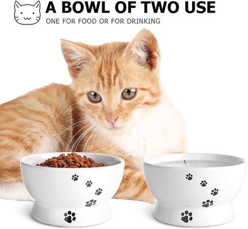 Y YHY Cat Bowl, 15 Ounce Cat Water Bowl, Raised Ceramic Cat Food Bowl, Elevated Cat Dog Dish No Spill, Pet Bowls for Cats or Small Dogs, Anti Vomiting, Measurable, White in Saudi Arabia