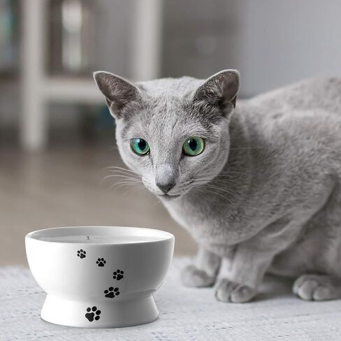 Y YHY Cat Bowl, 15 Ounce Cat Water Bowl, Raised Ceramic Cat Food Bowl, Elevated Cat Dog Dish No Spill, Pet Bowls for Cats or Small Dogs, Anti Vomiting, Measurable, White in Saudi Arabia