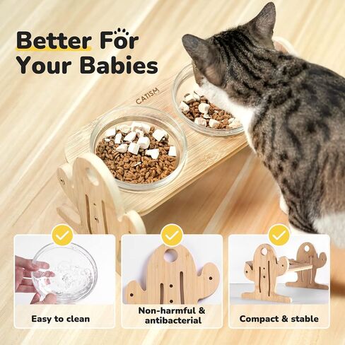 كتاب الشعر كيهتس اوعية مرتفعة للقطط على شكل صبار مائلة للحيوانات الاليفة مع وعاءين زجاجيين وسجادة غير قابلة للانزلاق للطعام والماء للقطط والكلاب الصغيرة .. in Kuwait