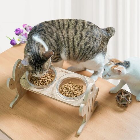 كتاب الشعر كيهتس اوعية مرتفعة للقطط على شكل صبار مائلة للحيوانات الاليفة مع وعاءين زجاجيين وسجادة غير قابلة للانزلاق للطعام والماء للقطط والكلاب الصغيرة .. in Kuwait