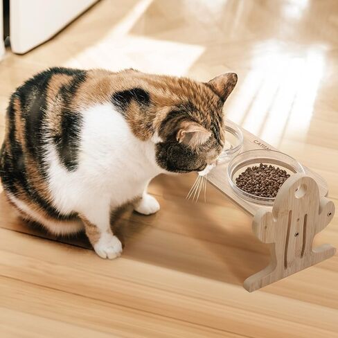 كتاب الشعر كيهتس اوعية مرتفعة للقطط على شكل صبار مائلة للحيوانات الاليفة مع وعاءين زجاجيين وسجادة غير قابلة للانزلاق للطعام والماء للقطط والكلاب الصغيرة .. in Kuwait