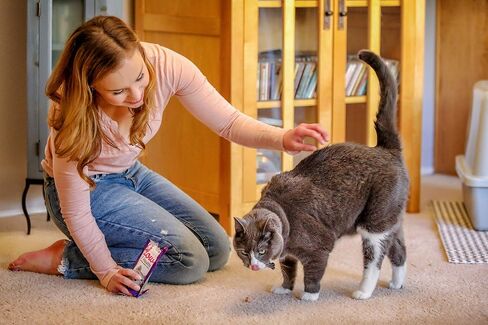 In Clover Smile Daily Dental Health Soft Chews for Cats, Support Healthy Teeth and Fresh Tongue with Catnip and Green Tea, Prebiotics, and Chlorophyll for Fresh Breath, 10.5 oz in Saudi Arabia