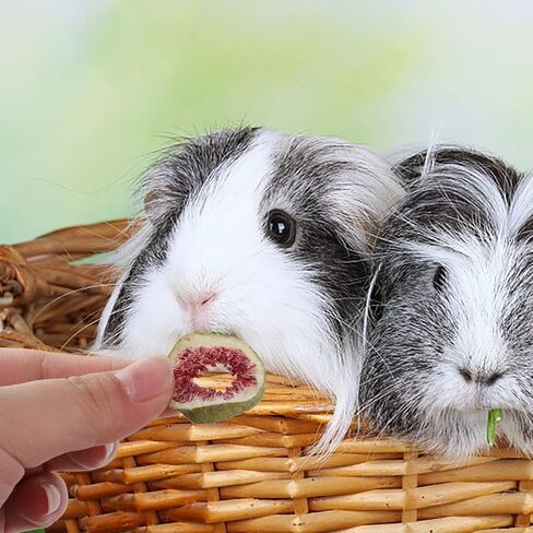 HGPOKLVT 18 نوعًا من حلوى الهامستر، ووجبات خفيفة للمضغ والتسنين للحيوانات الأليفة الصغيرة، مجموعة متنوعة من النباتات الطبيعية مع كمية معتدلة من البروتين النباتي (18-M) in Kuwait