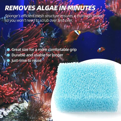 (6-Pack) 3.25x3.25x1 Aquarium Glass Cleaner Sponge Scrubber Scrapes, Cleaning Tool for Fish Tanks in Saudi Arabia