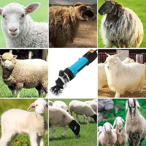 مقصات الأغنام بقدرة 690 وات، 2800 دورة في الدقيقة، ماكينة قص الأغنام الكهربائية الاحترافية، مجموعة أدوات العناية بالماشية في المزرعة، مقصات كهربائية شديدة التحمل بـ 6 سرعات للحيوانات ذات المعطف السميك in Kuwait