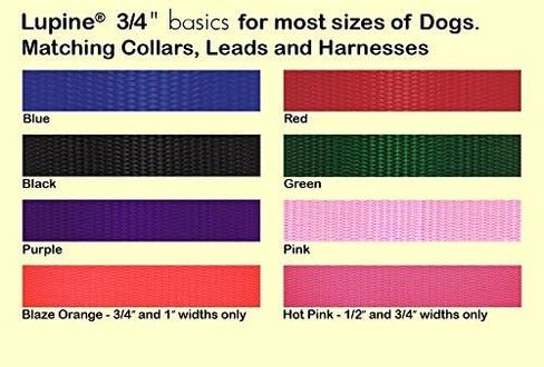 سرج LupinePet Basics مقاس 3/4 بوصة باللون الأحمر مقاس 20-30 بوصة للكلاب المتوسطة الحجم in Saudi Arabia