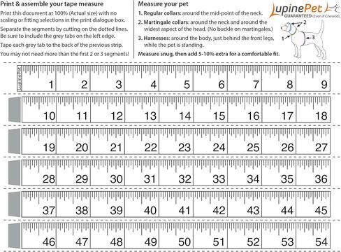 سرج LupinePet Basics مقاس 3/4 بوصة باللون الأحمر مقاس 20-30 بوصة للكلاب المتوسطة الحجم in Saudi Arabia