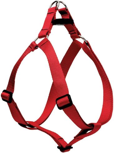 سرج LupinePet Basics مقاس 3/4 بوصة باللون الأحمر مقاس 20-30 بوصة للكلاب المتوسطة الحجم in Saudi Arabia