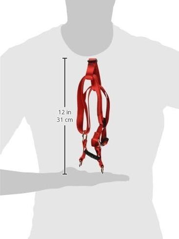 سرج LupinePet Basics مقاس 3/4 بوصة باللون الأحمر مقاس 20-30 بوصة للكلاب المتوسطة الحجم in Saudi Arabia