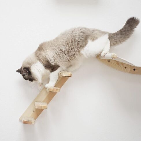 Cat Hammock Wall Mounted Cats Shelf and Climbing Shelf Four Step Cat Stairway with Sisal Scratching for Climbing Sleeping Playing Lounging Perching Cat Furniture in Kuwait