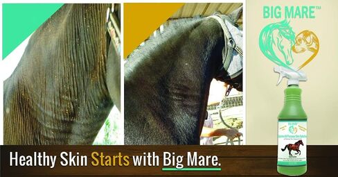 Big Mare All Purpose Horse Skin & Wound Care | 32oz Bottle | First Aid: for Girth Itch, Insect & Fly Bites, Crud, Itchy Manes & Tails & Hair Loss | Veterinarian Approved & Recommended in Saudi Arabia