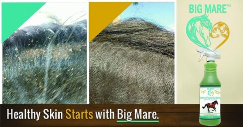 Big Mare All Purpose Horse Skin & Wound Care | 32oz Bottle | First Aid: for Girth Itch, Insect & Fly Bites, Crud, Itchy Manes & Tails & Hair Loss | Veterinarian Approved & Recommended in Saudi Arabia