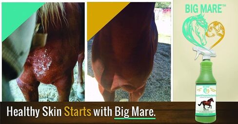Big Mare All Purpose Horse Skin & Wound Care | 32oz Bottle | First Aid: for Girth Itch, Insect & Fly Bites, Crud, Itchy Manes & Tails & Hair Loss | Veterinarian Approved & Recommended in Saudi Arabia