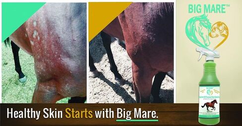 Big Mare All Purpose Horse Skin & Wound Care | 32oz Bottle | First Aid: for Girth Itch, Insect & Fly Bites, Crud, Itchy Manes & Tails & Hair Loss | Veterinarian Approved & Recommended in Saudi Arabia