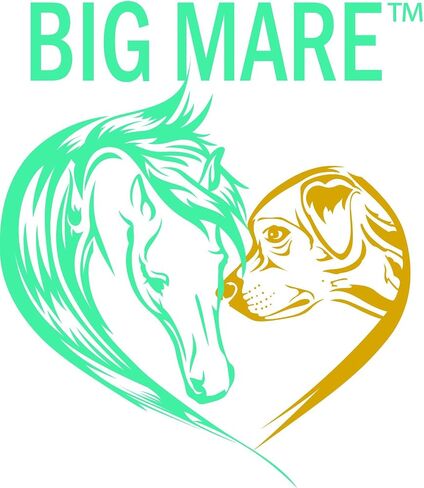 Big Mare All Purpose Horse Skin & Wound Care | 32oz Bottle | First Aid: for Girth Itch, Insect & Fly Bites, Crud, Itchy Manes & Tails & Hair Loss | Veterinarian Approved & Recommended in Saudi Arabia