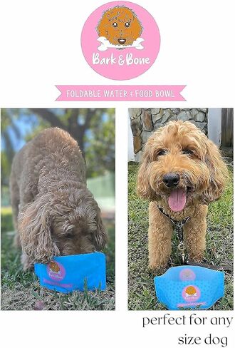 #1 Travel Dog Bowls. Collapsible Dog Bowl. The Foldable Dog Water Bowl That fits in Your Pocket. Portable & Resealable Pet Bowls by Bark & Bone Pack of 2 in Saudi Arabia