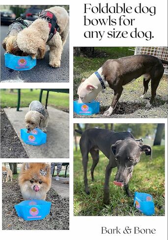 #1 Travel Dog Bowls. Collapsible Dog Bowl. The Foldable Dog Water Bowl That fits in Your Pocket. Portable & Resealable Pet Bowls by Bark & Bone Pack of 2 in Saudi Arabia