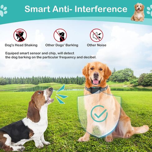 طوق نباح الكلاب - طوق نباح ذكي قابل لإعادة الشحن من نوغات، 8 أصوات تنبيه اهتزازية قابلة للتعديل وحساسية، طوق مضاد للنباح للكلاب الصغيرة والمتوسطة والكبيرة (أسود) in Kuwait
