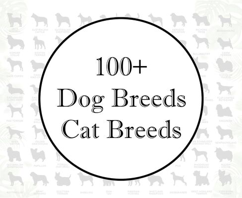 Personalized Loss of Pet with Dog Breed, Cat Breed, A Colorful Background with Multicolor Stained Glass Pattern Suncatcher, If Love Could Have Saved You, You Would Have Lived Forever Suncatcher in Kuwait