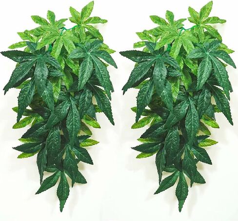 نباتات الزواحف، قطعتان من نباتات تررم الحريرية المعلقة مع كوب شفط للتنانين الملتحية والسحالي، وأبو بريص الأفعى، وديكورات موائل الحيوانات الأليفة للزواحف، وإمدادات الحيوانات الأليفة (بنفسجي) in Kuwait