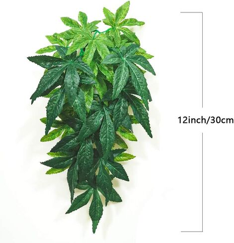 نباتات الزواحف، قطعتان من نباتات تررم الحريرية المعلقة مع كوب شفط للتنانين الملتحية والسحالي، وأبو بريص الأفعى، وديكورات موائل الحيوانات الأليفة للزواحف، وإمدادات الحيوانات الأليفة (بنفسجي) in Kuwait