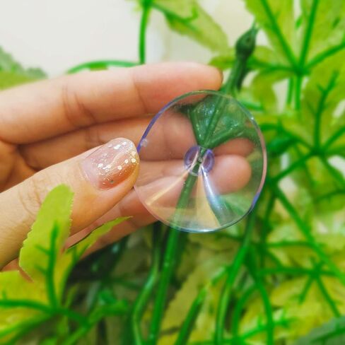 نباتات الزواحف، قطعتان من نباتات تررم الحريرية المعلقة مع كوب شفط للتنانين الملتحية والسحالي، وأبو بريص الأفعى، وديكورات موائل الحيوانات الأليفة للزواحف، وإمدادات الحيوانات الأليفة (بنفسجي) in Kuwait