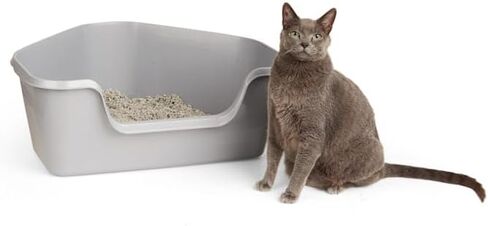 So Phresh High-Back Corner Grey Litter Box, 26.25" L x 21.5" W x 10" H in Kuwait