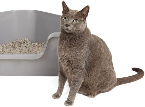So Phresh High-Back Corner Grey Litter Box, 26.25" L x 21.5" W x 10" H in Kuwait
