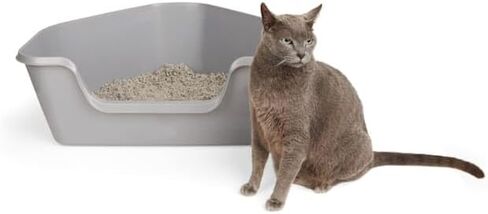 So Phresh High-Back Corner Grey Litter Box, 26.25" L x 21.5" W x 10" H in Kuwait