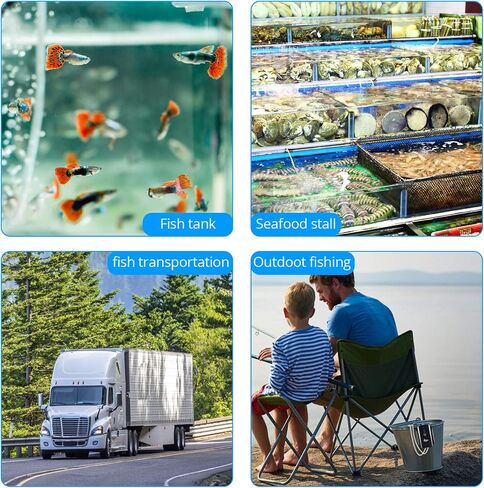 مضخة هواء قابلة لإعادة الشحن من AQQA Aquarium، متعددة الوظائف محمولة موفرة للطاقة، مضخة أكسجين هادئة، منافذ واحدة/مزدوجة مع حجر هواء، مناسبة لصيد الأسماك في حالات انقطاع التيار الكهربائي في الداخل in Kuwait