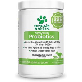 Doggie Dailies Probiotic Soft Chews for Dogs, Pumpkin, 225 Count in Saudi Arabia