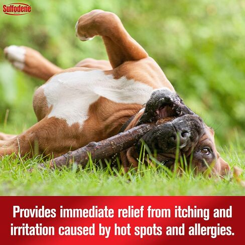 Sulfodene Hot Spot & Itch Relief Medicated Spray for Dog 8oz in Kuwait