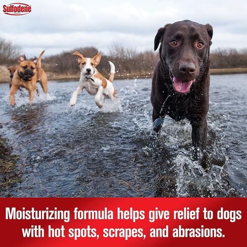 Sulfodene Hot Spot & Itch Relief Medicated Spray for Dog 8oz in Kuwait
