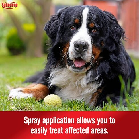 Sulfodene Hot Spot & Itch Relief Medicated Spray for Dog 8oz in Kuwait