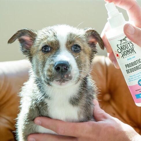 SKOUT'S HONOR: Probiotic Deodorizer 8 fl. oz. - Hydrates and Deodorizes Fur, Supports Pet’s Natural Defenses, PH-Balanced and Sulfate Free - Avocado Oil (Happy Puppy) in Saudi Arabia