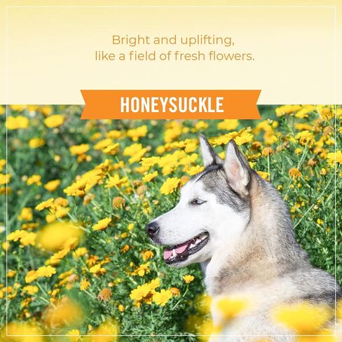 SKOUT'S HONOR: Probiotic Deodorizer With Avocado Oil Hydrates and Deodorizes Fur, Supports Pet’s Natural Defenses, PH-Balanced, Sulfate Free - Honeysuckle, 8 oz. in Saudi Arabia