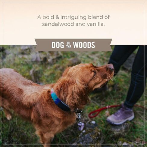 SKOUT'S HONOR Probiotic Daily Use Dog of The Woods Deodorizer, 8 fl. oz, 8 FZ in Saudi Arabia